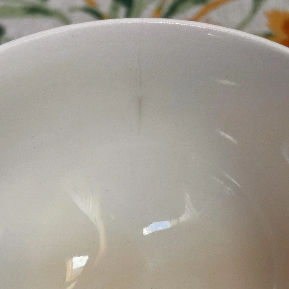 VTG Arizona Cactus Dinnerware Ocotillo Teacup Saucer Mid-Century Southwestern